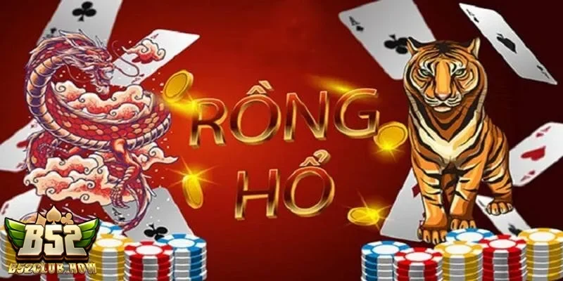 Các bước cơ bản trong hướng dẫn chơi rồng hổ cho người mới