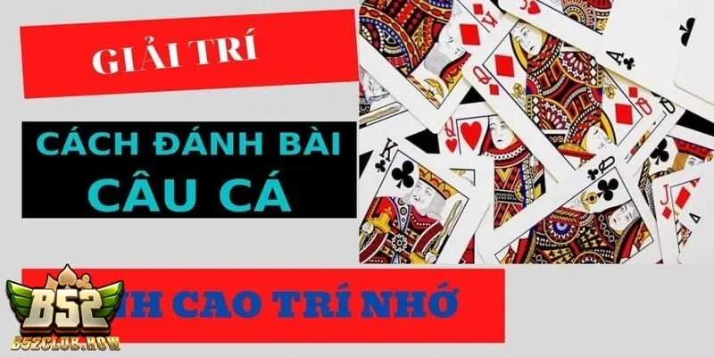 Tìm hiểu chiến thuật và mẹo chơi bài câu cá hiệu quả